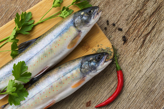 two fresh uncooked fish one kind of salmon with aromatic herbs on wooden cutting board