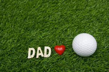 Dad love golf is on green grass