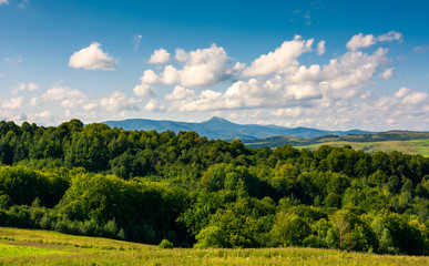 beautiful summer landscape. mountain ridge with high peak behind the forest. lovely sky with clouds