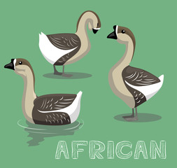 Domestic Goose African Cartoon Vector Illustration