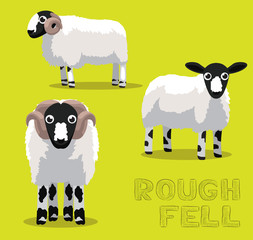 Sheep Rough Fell Cartoon Vector Illustration