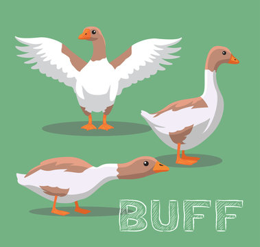 Domestic Goose Buff Cartoon Vector Illustration