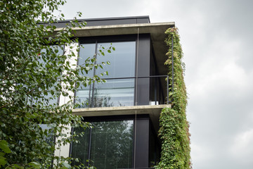 Modern building facade with ivy