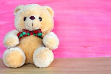 Teddy bear on the pink background.