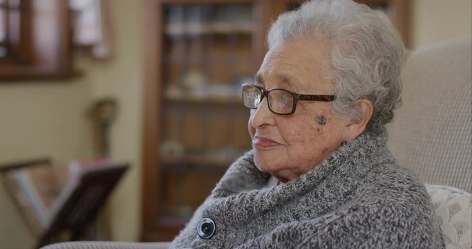 portrait of happy elderly woman enjoying relaxed retired lifestyle eating cookie biscuit sitting in home living room background
