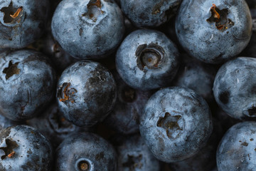 blueberry background.Fresh organic blueberry.