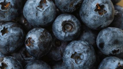 blueberry background.Fresh organic blueberry.