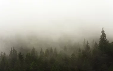 Rolgordijnen bos in de regen en mist © Ioan Panaite