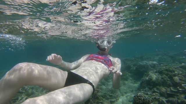 Woman Snorkeling in Shallow Water at a Coral Reef