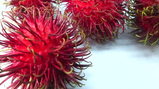 Rambutan Roll in White Background