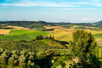 Obraz premium Beautiful landscape of green hilly Tuscan Field