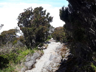 Mount Kinabalu Hiking Trail