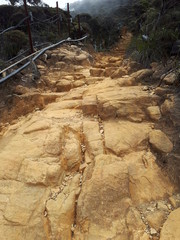 Mount Kinabalu Hiking Trail