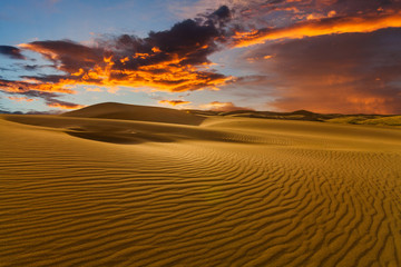 Beautiful sand dunes in the Sahara desert