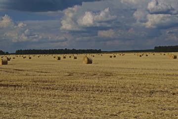 Obraz premium Strohballen auf einem Feld nach der Getreideernte
