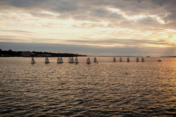 Obraz premium veleros