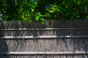Bamboo fence-16