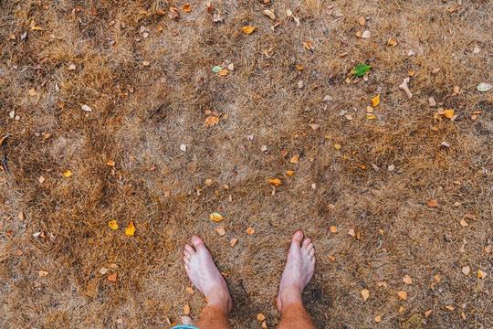 Personal Perspective Of Man Standing On Dead Grass In Drought