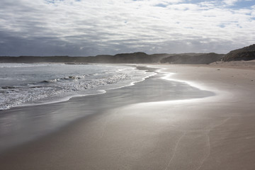 Afternoon light at the beach at West Point state reserve, Tasmania, Australia
