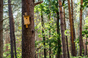 Birdhouse hanging on the tree in forest