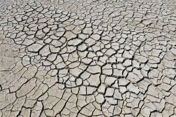 The parched soil