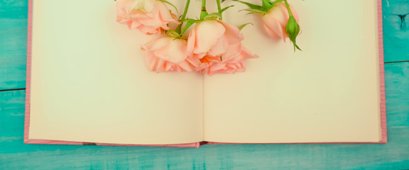 banner for website, Pink rose flower on the book , Valentines day concept