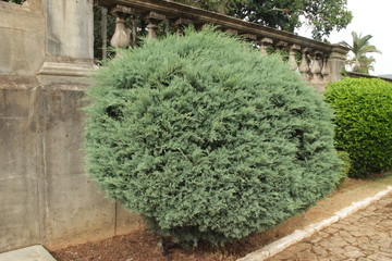 São João Del Rei - Minas Gerais - Brazil