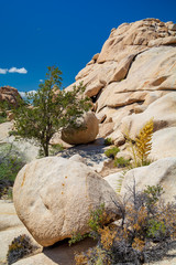 Joshua tree boulders