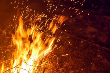 Fototapeta na wymiar Night bonfire with sparks. Background motion blur
