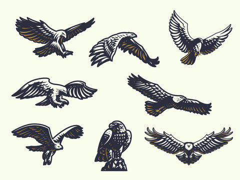 Set Of Vector Eagles. 