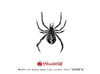 할로윈 포스터 / 손으로 그린 할로윈 그림