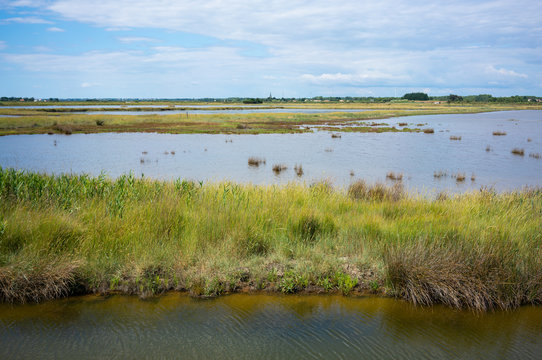 View of Marais d'Olonne - Olonne swamp in Vendée France