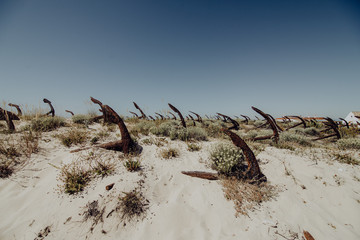 The old Anchor cemetery at the Barril beach in Tavira Algarve region Portugal