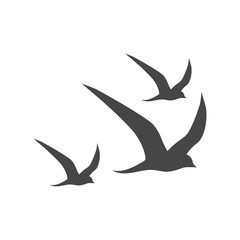 Vector Logo birds in flight