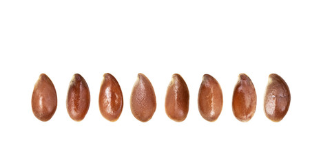 Close up of some linseeds or flax seeds arranged standing up on a horizontal line isolated on white