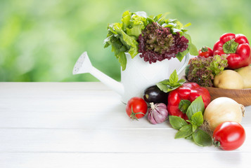 Fresh vegetables in wooden plate , watering can with salad leaves  on white wooden table.