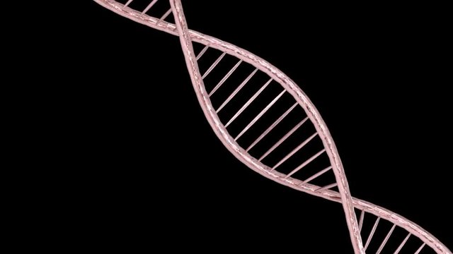 4K UHD video of revolving DNA helix with elegant background