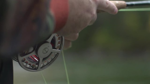Slow Motion footage of fly fishing for west coast chum salmon. Pristine clear river fishing in the mountains with huge salmon on the fly. Chum salmon fly fishing in British Columbia Canada.