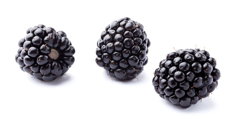 three ripe blackberries on white © Mexrix