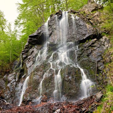 Radau-Wasserfall bei Bad Harzburg im Nationalpark Harz