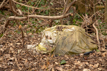 Müll Plastiksack im Wald illegal entsorgt