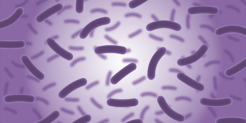 Bakterien Illustration Medzin Wissenschaft Hygiene