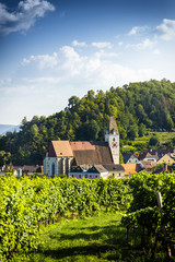 Spitz, Austria, View to old church from green vineyards.