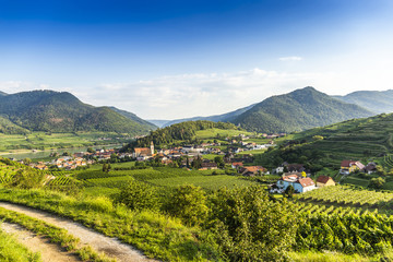 Fototapeta premium Malowniczy widok na Wachau i Dunaj. Szpic. Austria.