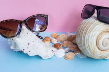 two women's and men's sunglasses over large seashells and several smaller seashells on a light blue...