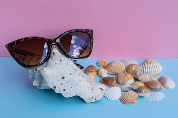A women's sunglasses over a large shell and several smaller shells on a light blue and pink...