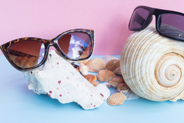 two women's and men's sunglasses over large seashells and several smaller seashells on a light blue...