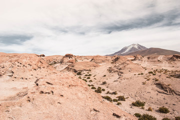 Mars Landscape Bolivia with Volcanoe Ollague