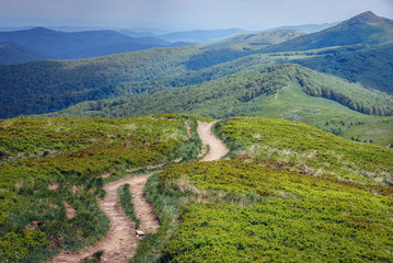 Obraz premium Wetlina hiking trail in Bieszczady National Park in Poland