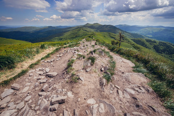 Obraz premium Hiking trail from Smerek Peak in Bieszczady National Park, Poland